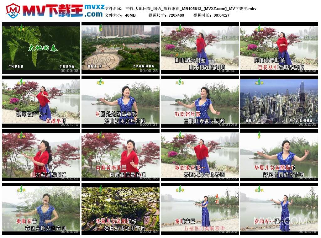 王莉-大地回春_国语_流行歌曲_MB105612